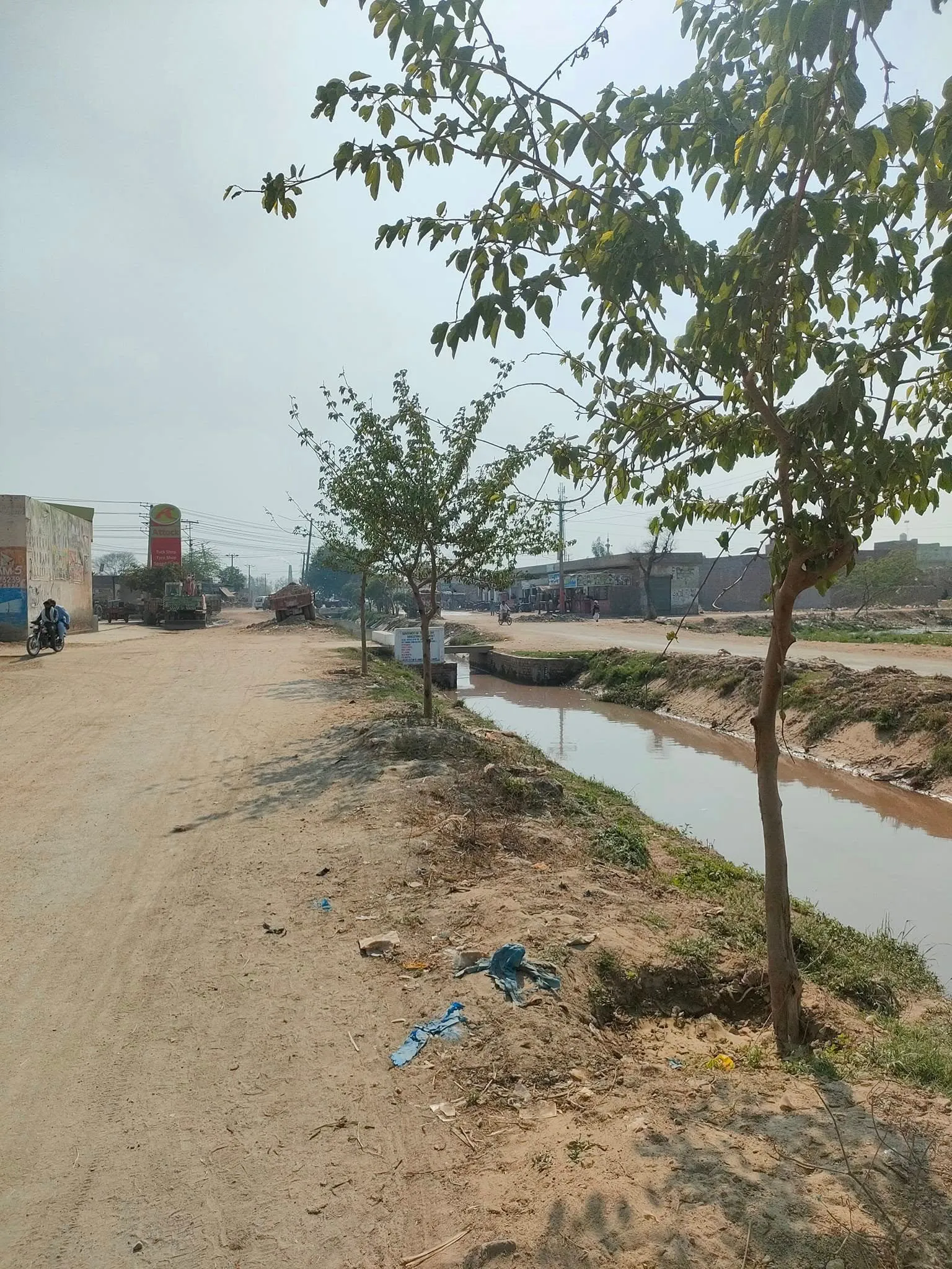 Green Seekers Activity